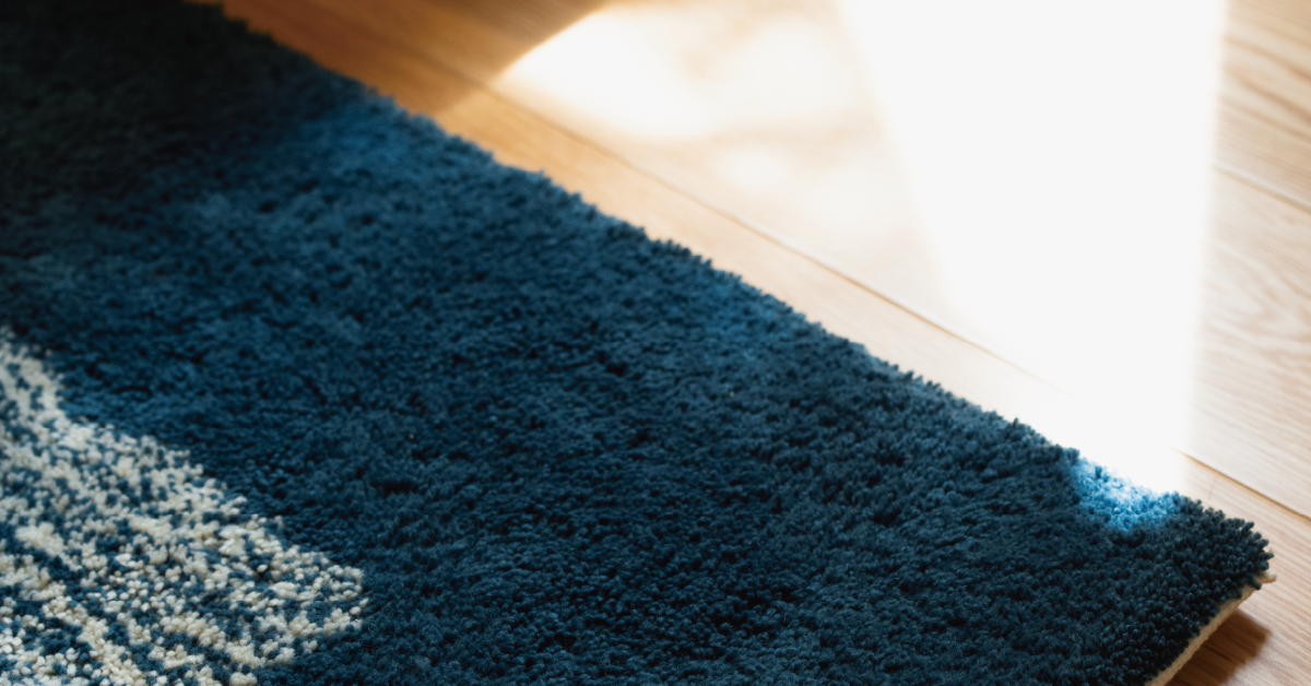 会員プログラム“ROZILICA HOUSE”をはじめました