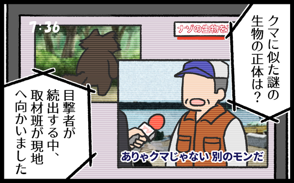 #8 クマのようなネコ