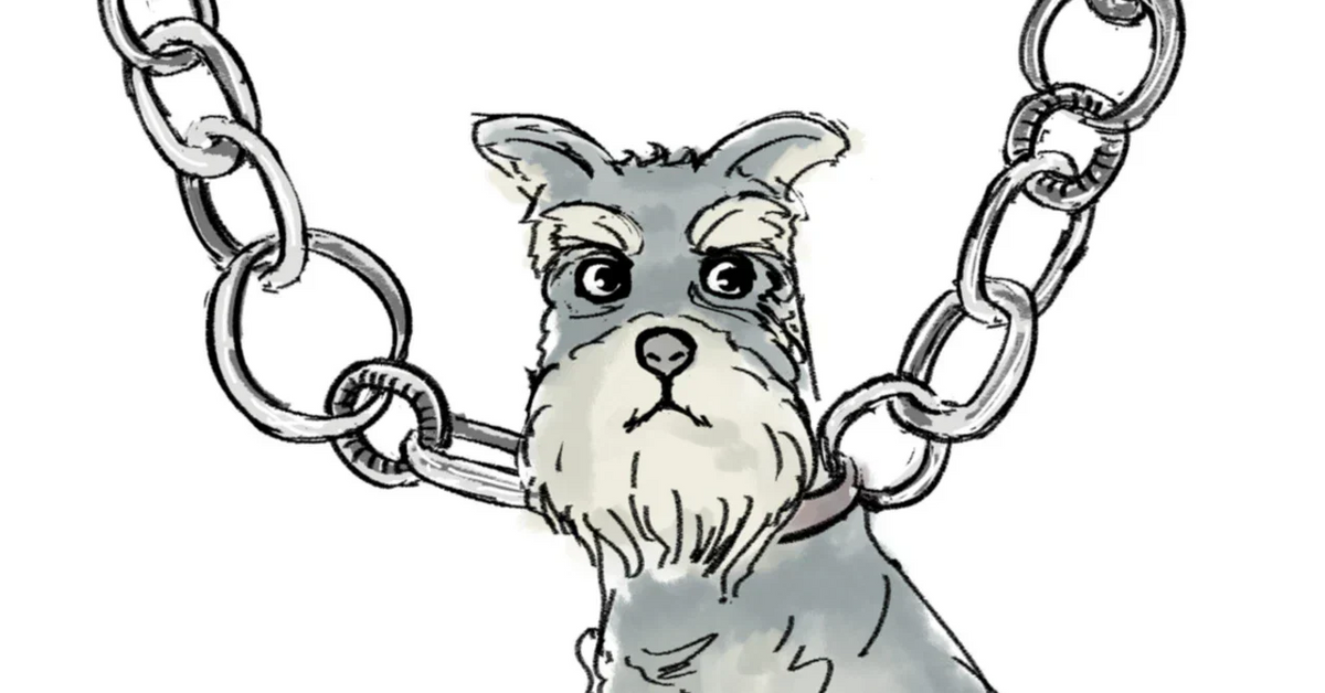 たくさんのシュナウザーをありがとうございました