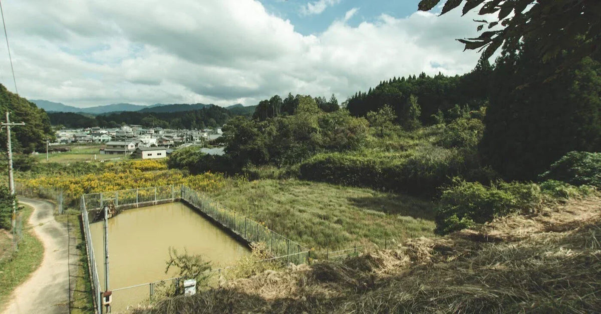 奈良訪問記：ロジリカからアクセサリー専用クロスを販売いたします